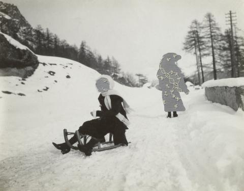 Soeurs, nos forêts ont aussi des épines