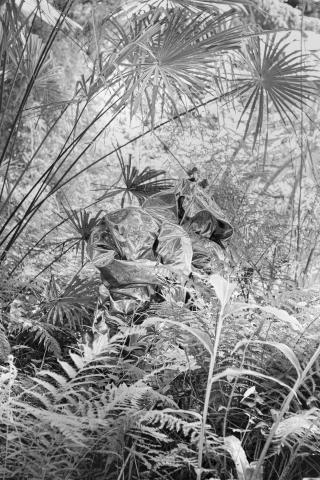 Troisième nature